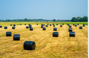 bale wrap