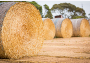 baler twine