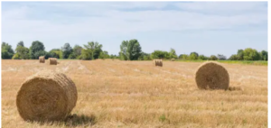 top quality baling twine