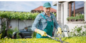 weed control gardening services