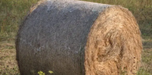high-quality net replacement film