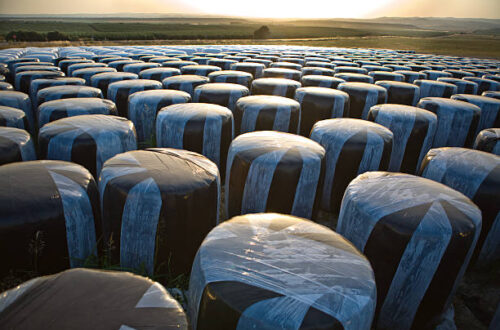 silage film