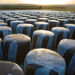 silage film
