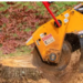 stump removal Adelaide Hills