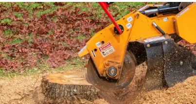 stump removal Adelaide Hills
